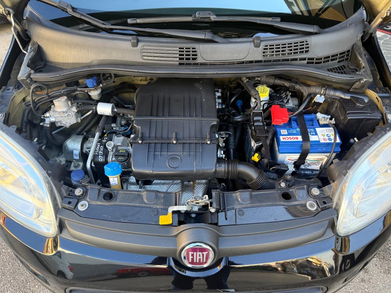 Fiat Panda 1.2 EasyPower Easy