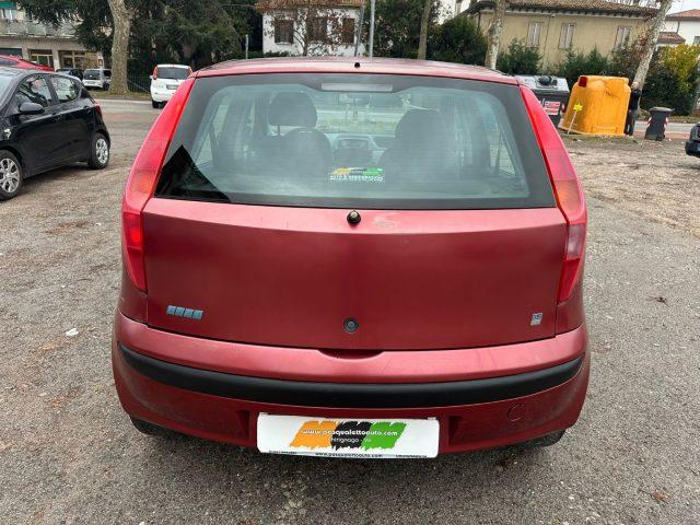 FIAT Punto ok neo pat. 1.2i 5 porte ELX