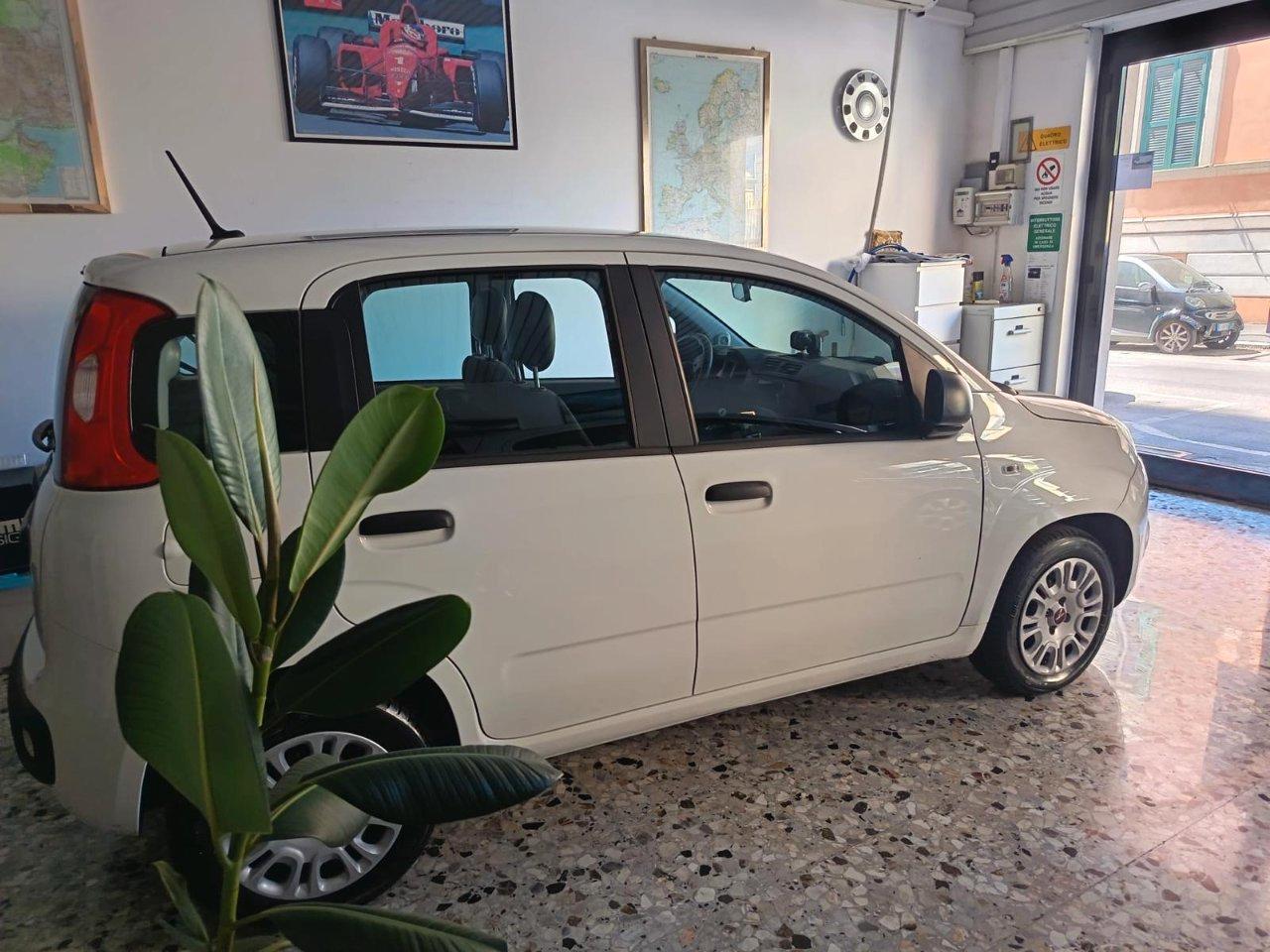 Fiat Panda 1.2 Easy easypower Gpl 69cv my19