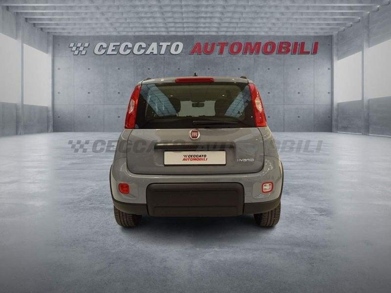 FIAT Panda Panda 1.0 firefly hybrid City Life s&s 70cv 5p.ti