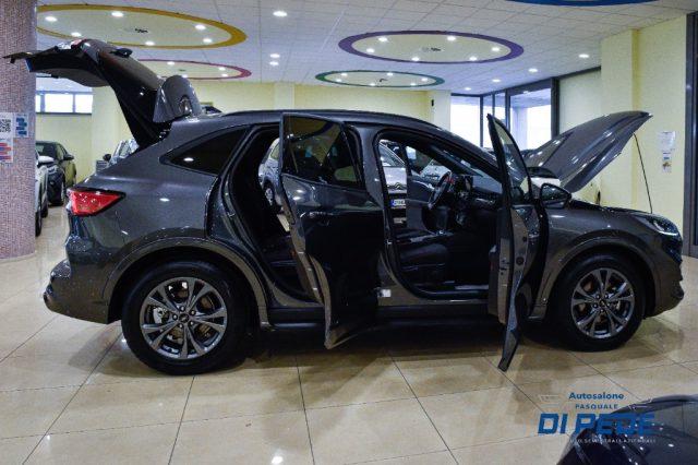 FORD Kuga 1.5 EcoBlue 120 CV 2WD ST-Line