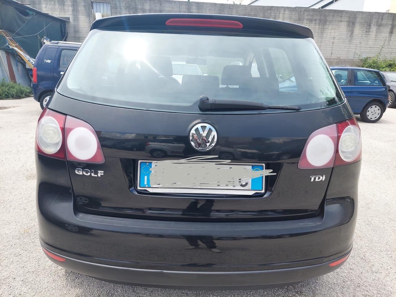 Volkswagen Golf Plus Golf 1.9 TDI 5p. Comfortline