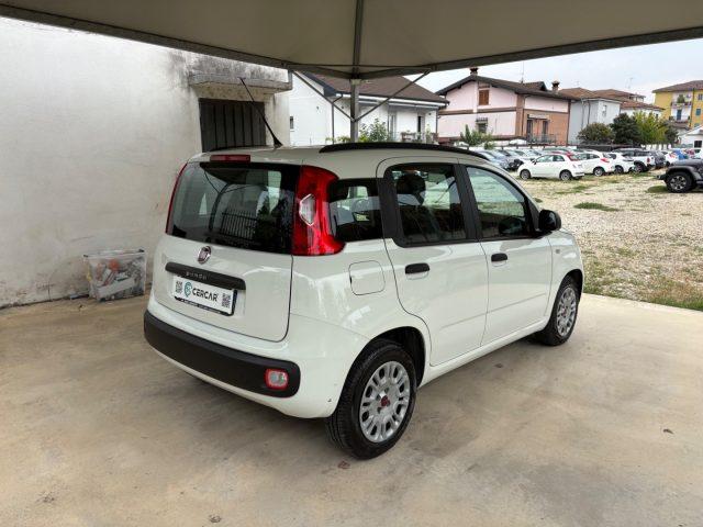 FIAT Panda 1.2 Easy EURO 6 5 POSTI OK NEOPATENTATI