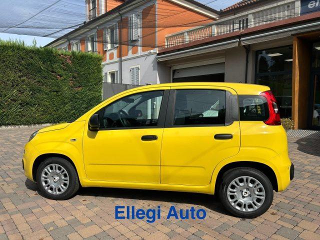 FIAT Pandina PROMO FINANZIAM 1.0 FireFly 65 CV Hybrid Pop KM 0