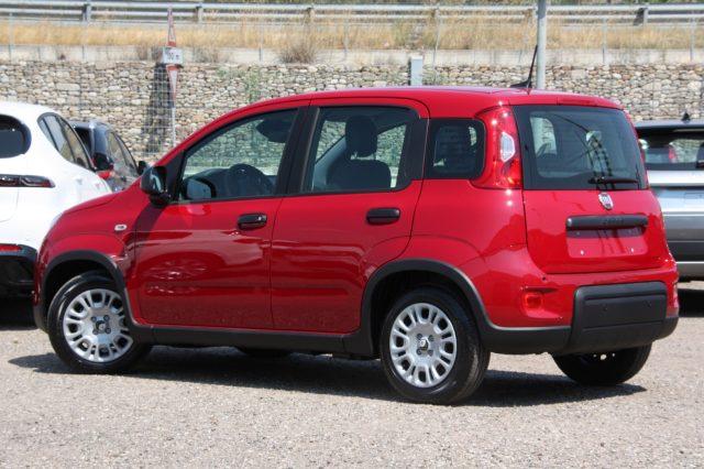 FIAT Panda 1.0 S&S Hybrid CON ROTTAMAZIONE