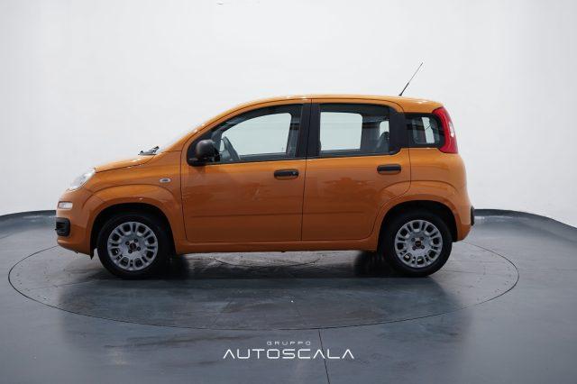 FIAT New Panda 1.2 69cv GPL EasyPower Easy