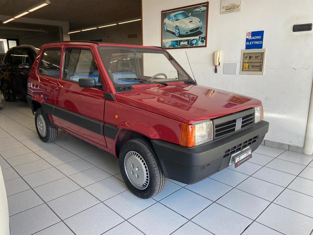 Fiat Panda 900 i.e. cat Young