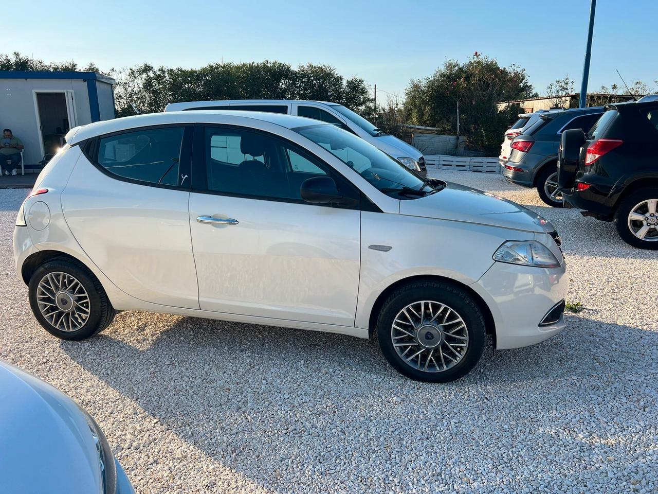 Lancia Ypsilon 1.3 MJT 16V 95 CV 5 porte S&S Platinum