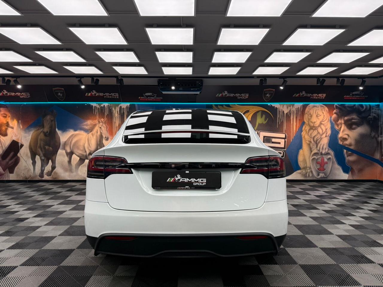 Tesla Model X LONG RANGE (329)