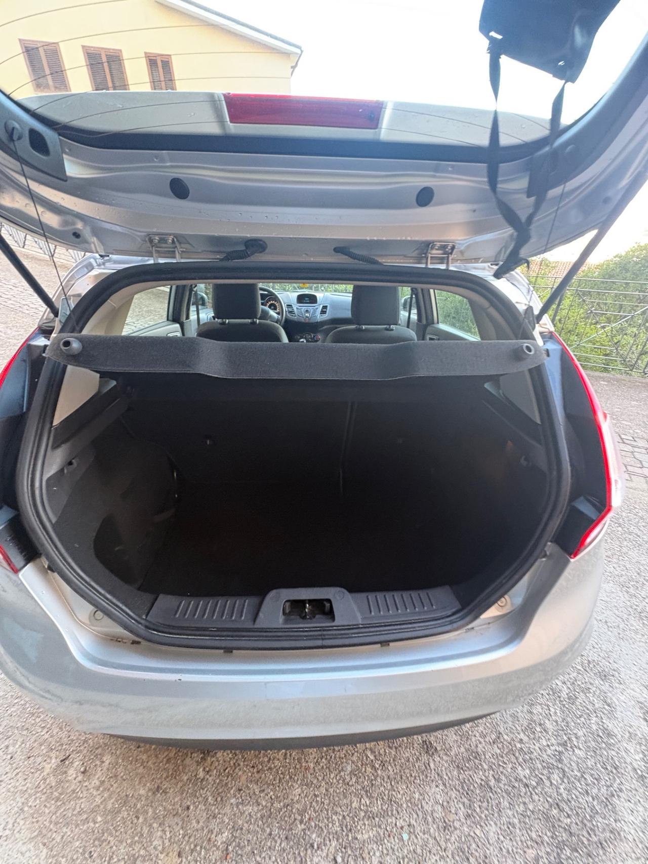 Ford Fiesta 1.6 TDCi 95CV 5 porte Titanium