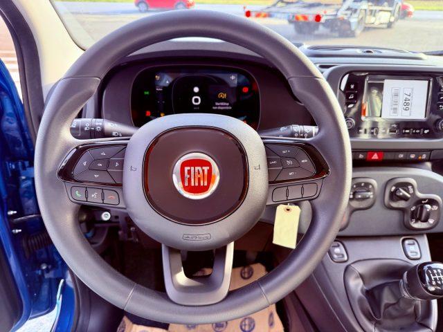 FIAT New Panda ICON - KM 0 10/2025- 5° POSTO - RADIO - SENSORI