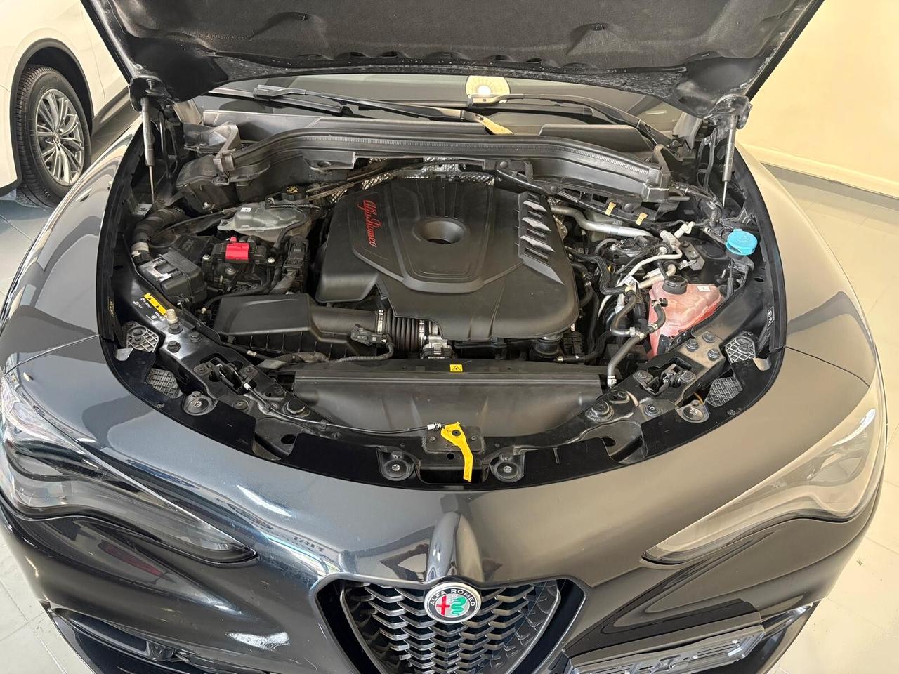 Alfa Romeo Stelvio 2.2 Turbodiesel 210 CV AT8 Q4 Super