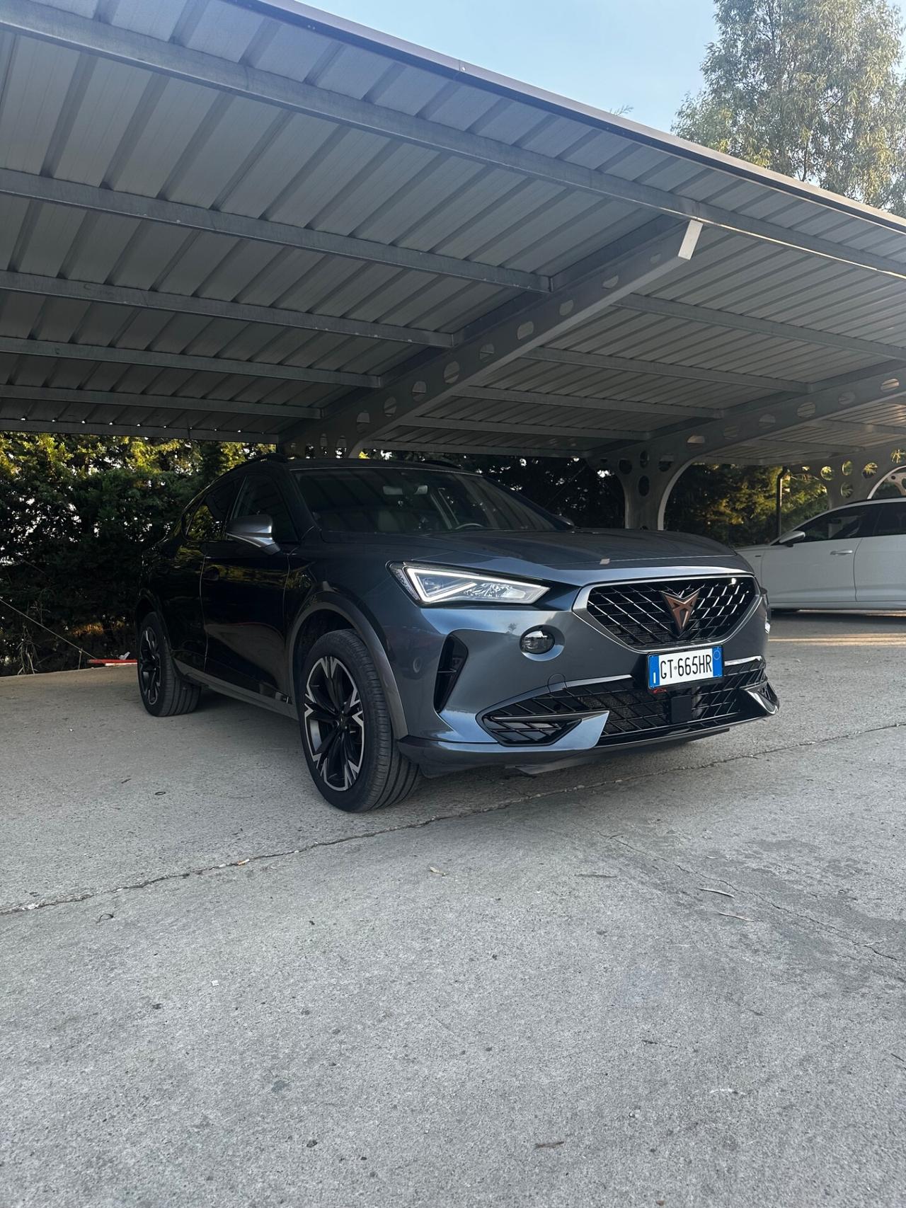 Cupra Formentor 2.0 TDI 4Drive DSG