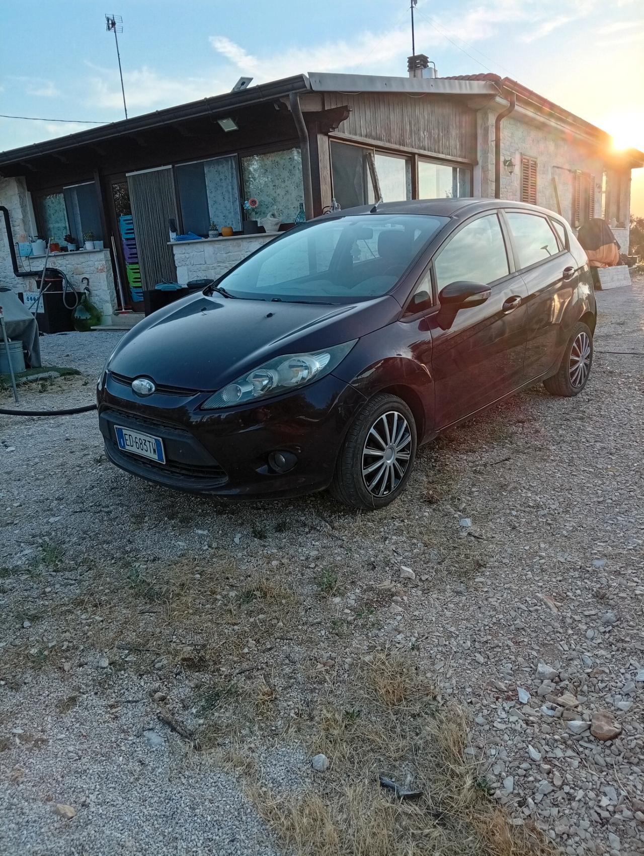 Ford Fiesta 1.4 TDCi 5p.