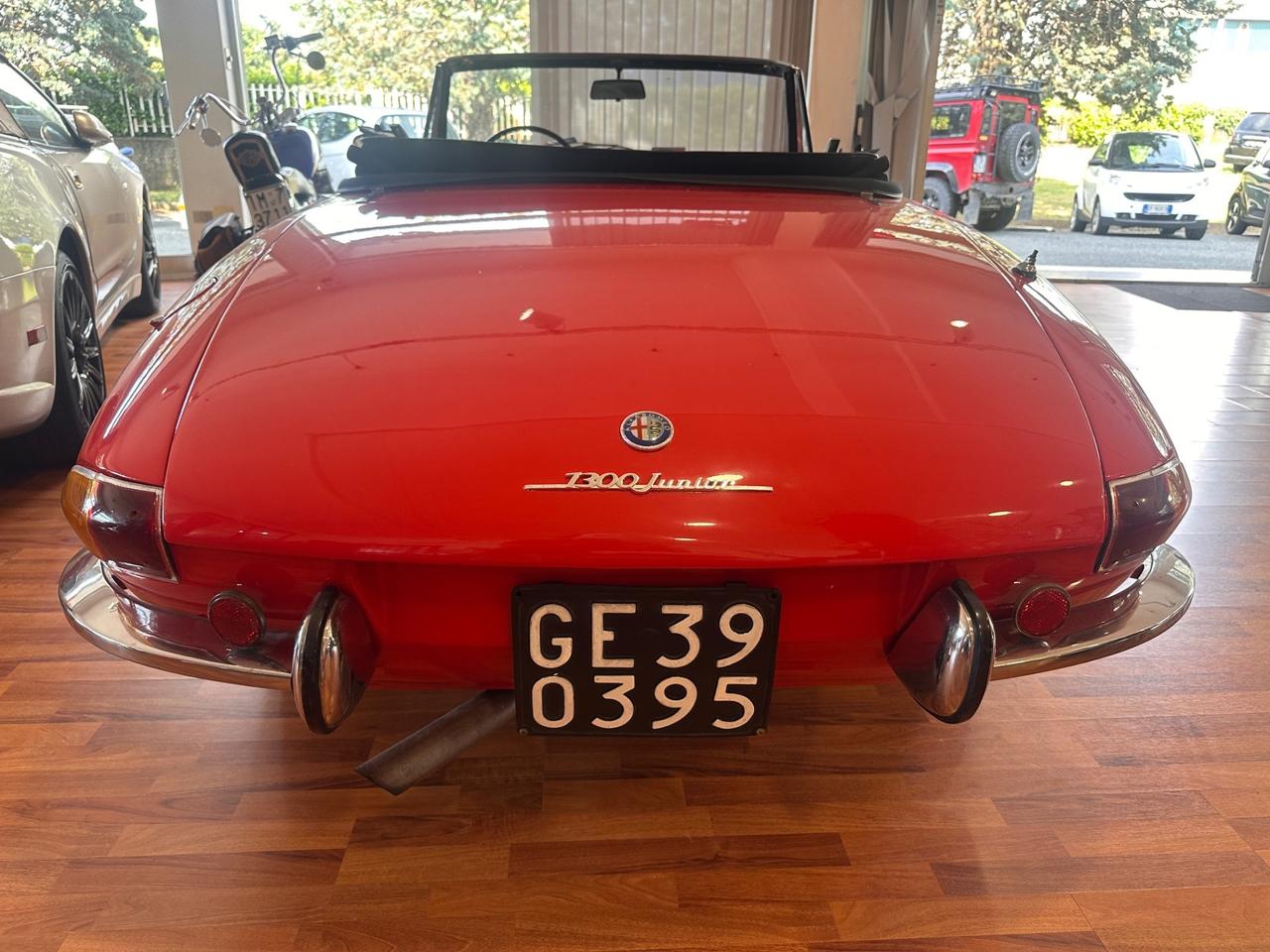 Alfa Romeo Spider Duetto Osso di seppia
