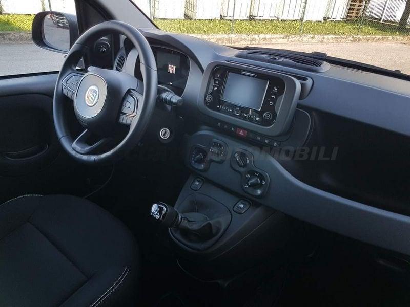 FIAT Panda Panda 1.0 70cv Hybrid Icon