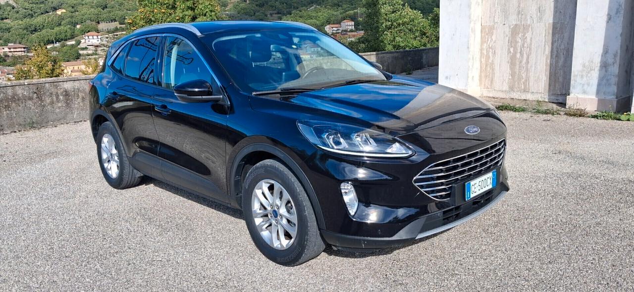 Ford Kuga 1.5 EcoBlue 120 CV 2WD Titanium