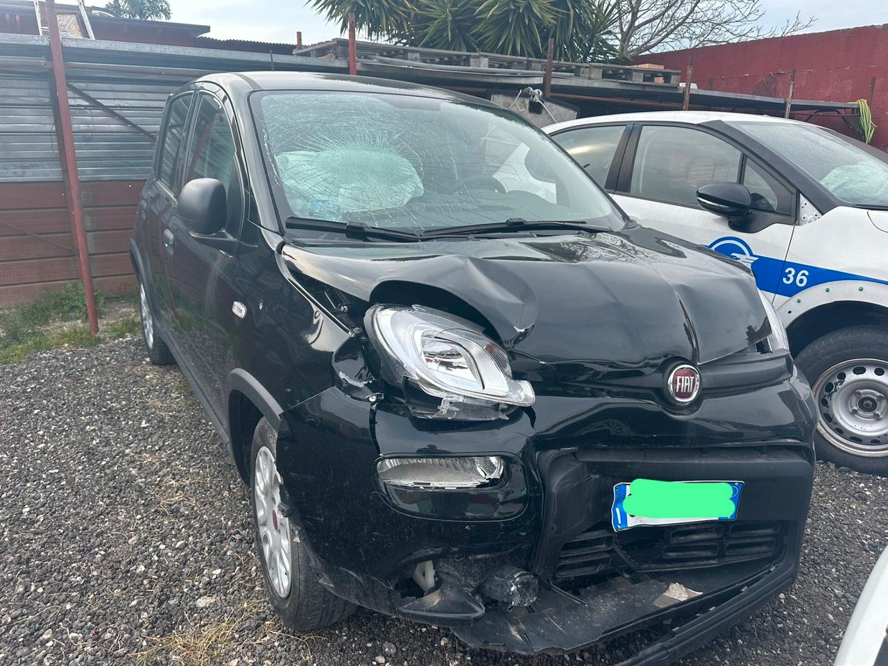 Fiat Panda 1.0 FireFly S&S Hybrid