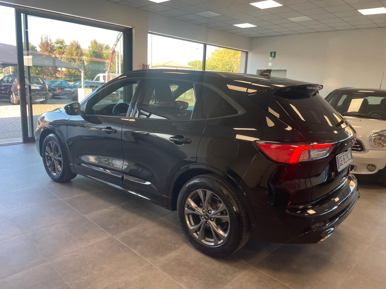Ford Kuga 1.5 EcoBlue 120 CV aut. 2WD ST-Line