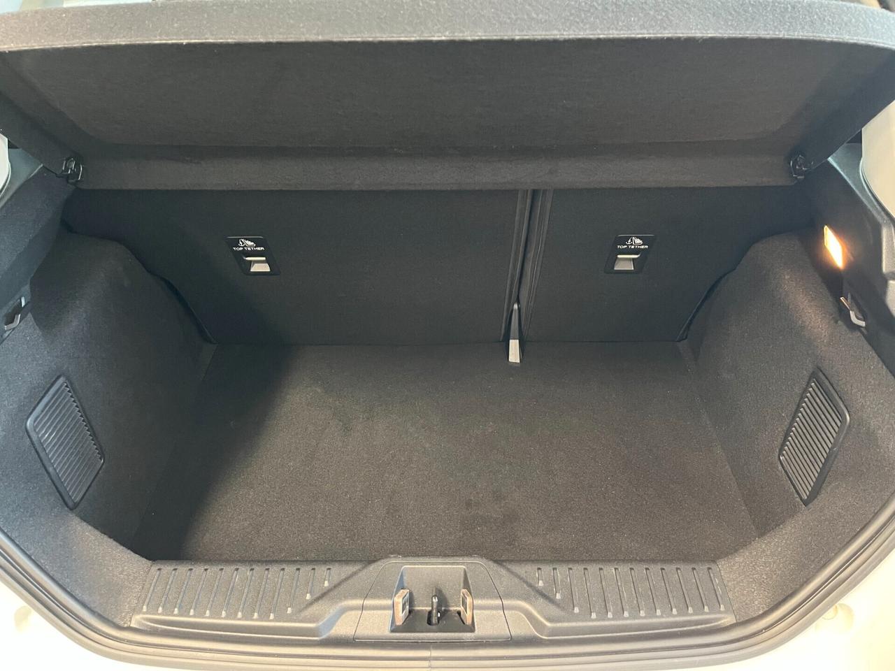 Ford Fiesta 1.0 Ecoboost Hybrid 125 CV 5 porte Titanium