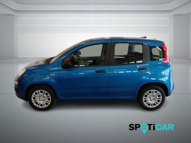 FIAT Panda 1.0 FireFly S&S Hybrid PANDINA ADAS