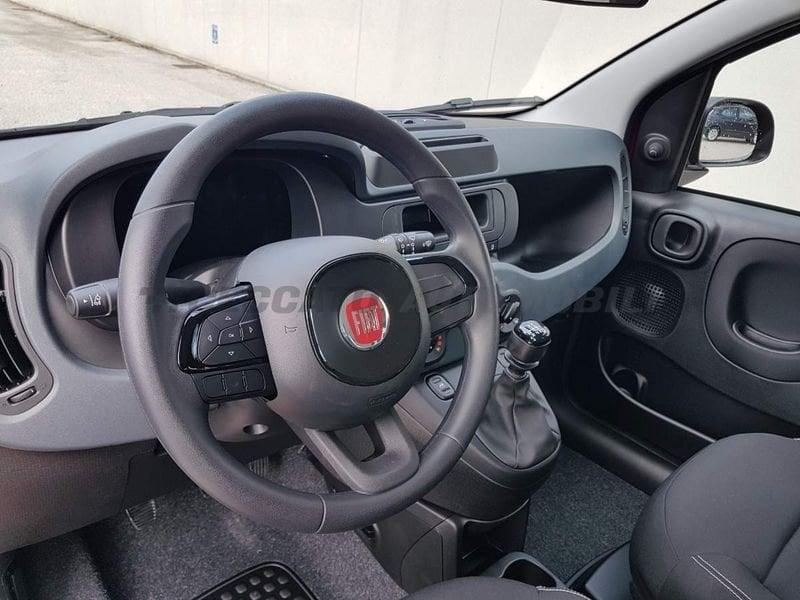 FIAT Panda Panda 1.0 70cv Hybrid Pop