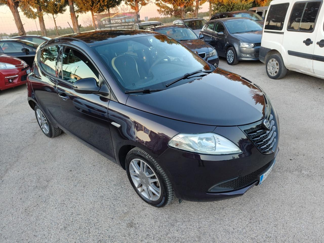 Lancia Ypsilon 1.3MTJ Gold tagliandi Fiat