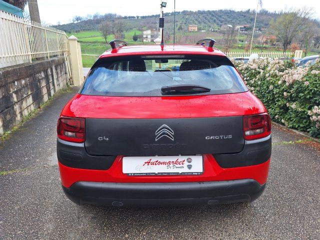 CITROEN C4 Cactus BlueHDi 100 Shine