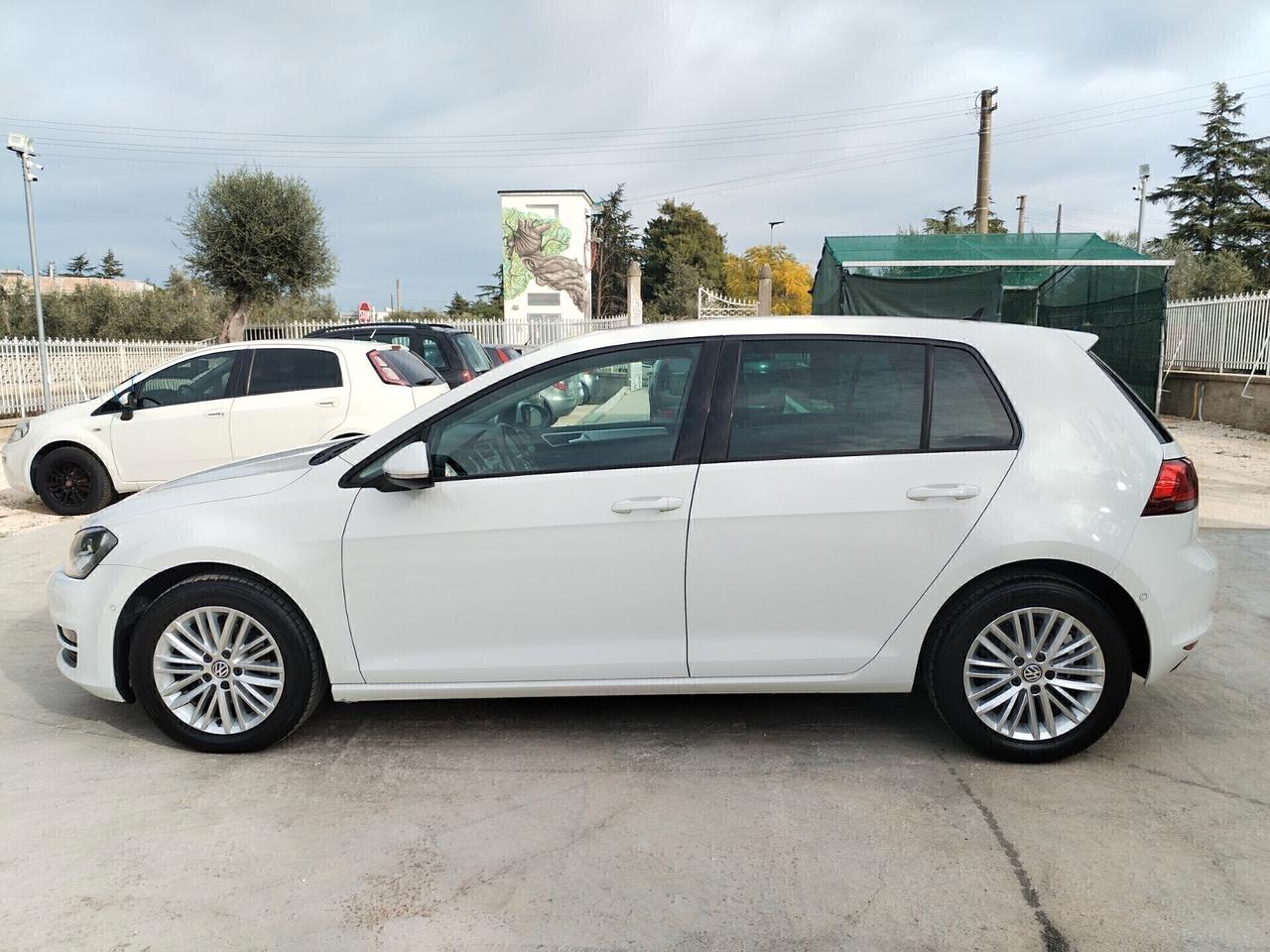 Volkswagen Golf 1.6 TDI 110 CV 5p. Highline BlueMotion Technology