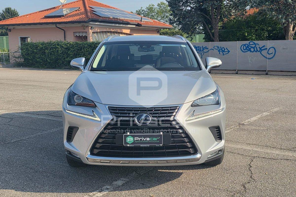 LEXUS NX Hybrid 4WD Business