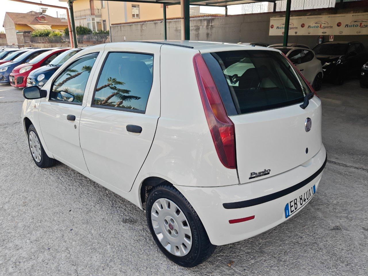 Fiat Punto 5 Porte Punto 5p 1.2 Classic Active
