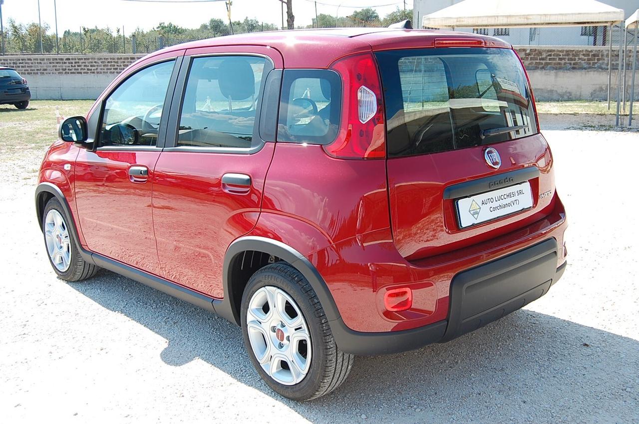 Fiat Panda 1.0 FireFly S&S Hybrid