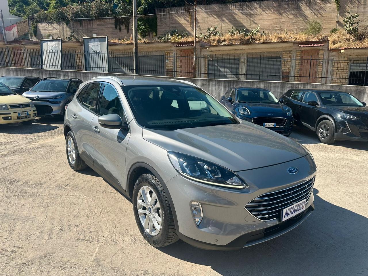 Ford Kuga 2.0 EcoBlue 150CV MHEV Titanium Business