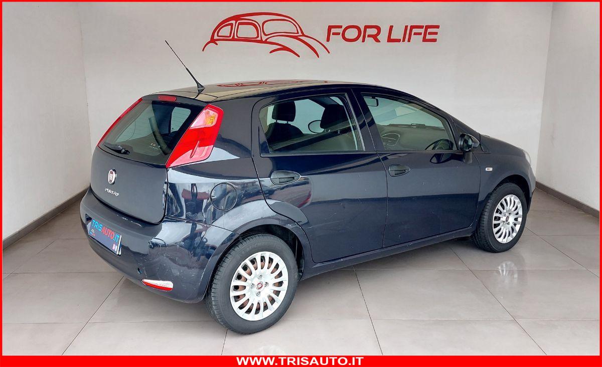 FIAT Punto 1.2 Street 5p NEOPATENTATI