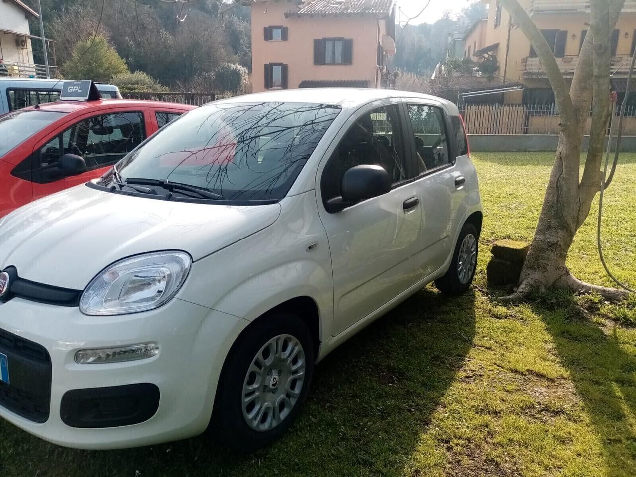 NOLEGGIO FIAT PANDA 1.0 FIREFLY SS HYBRID PANDINA
