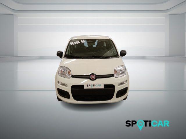 FIAT Panda 1.0 FireFly S&S Hybrid Icon