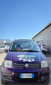 Fiat Panda 1.2 Natural Power 60 Cv
