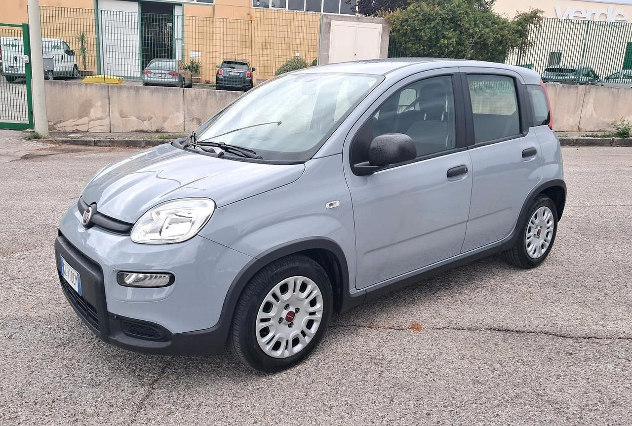 Fiat Panda 1.0 FireFly S&S Hybrid (Iva Esposta)