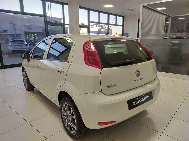 FIAT Punto Punto 1.4 8V 5 porte Natural Power Young