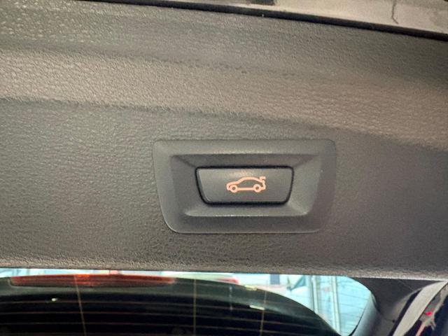 BMW X2 sDrive18d Msport / M sport X Shadow AMBIENT ACC