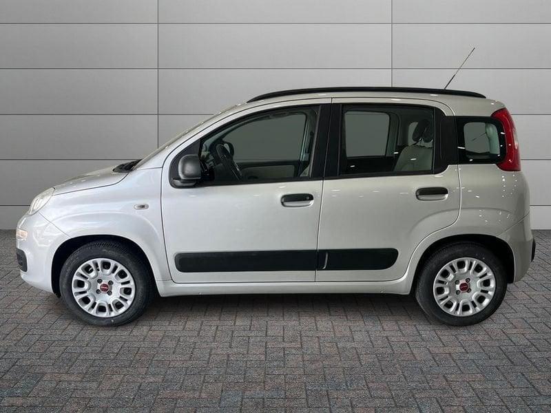 FIAT Panda Panda 1.2 Easy 69cv