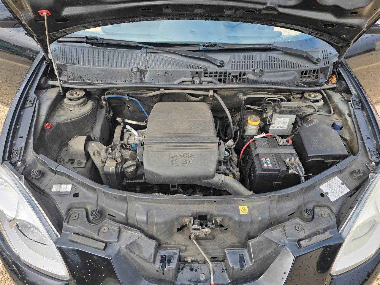 Lancia Ypsilon 1.2 Argento 44kw benzina