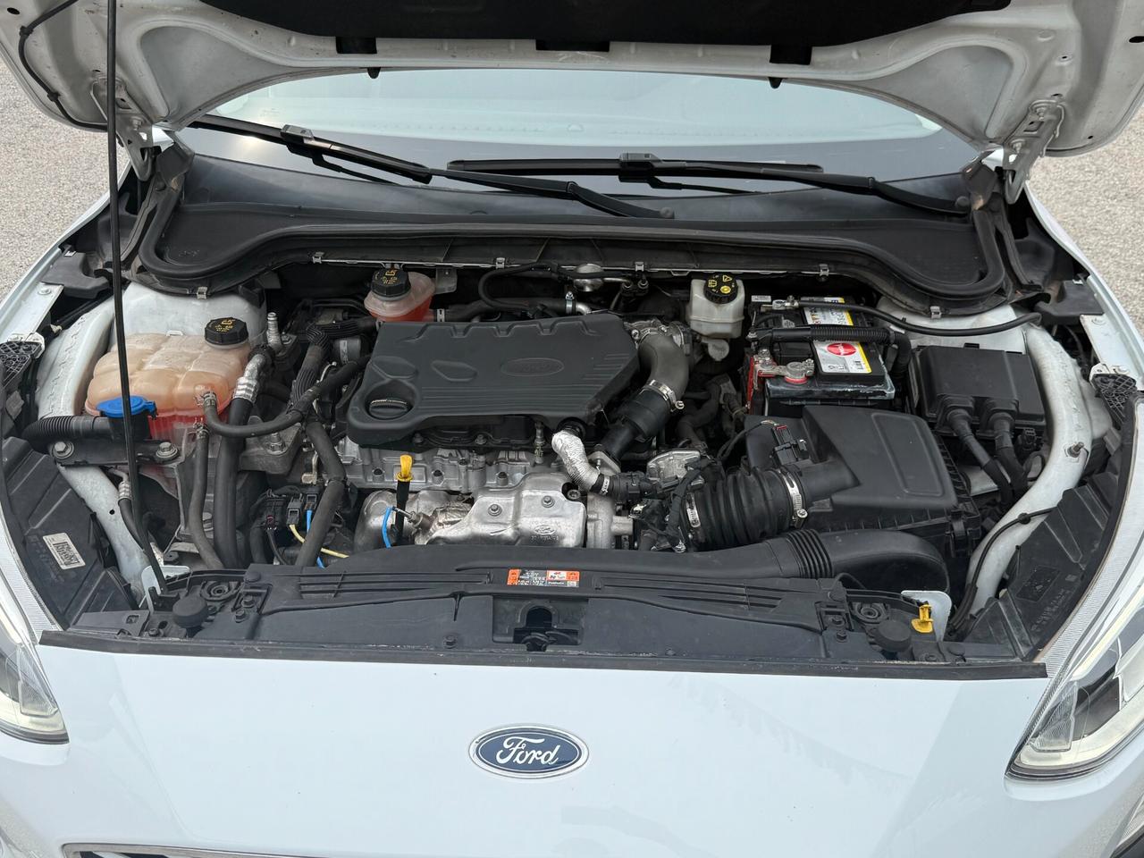 " POCHI KM " Ford Focus 1.5 TDCi 120 CV AUTOM.