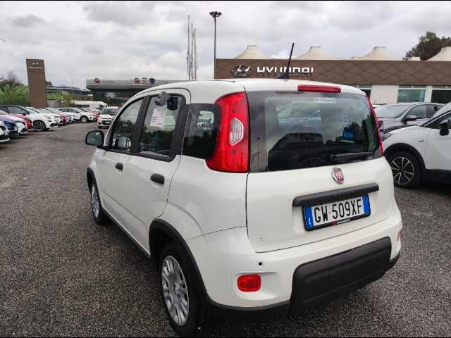 FIAT Panda 1.0 firefly hybrid s&s 70cv 5p.ti