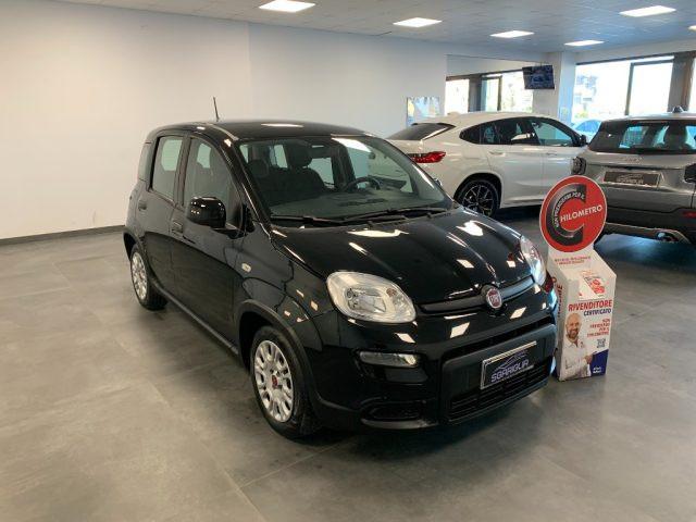 FIAT Panda 1.0 Benzina Hybrid City Life