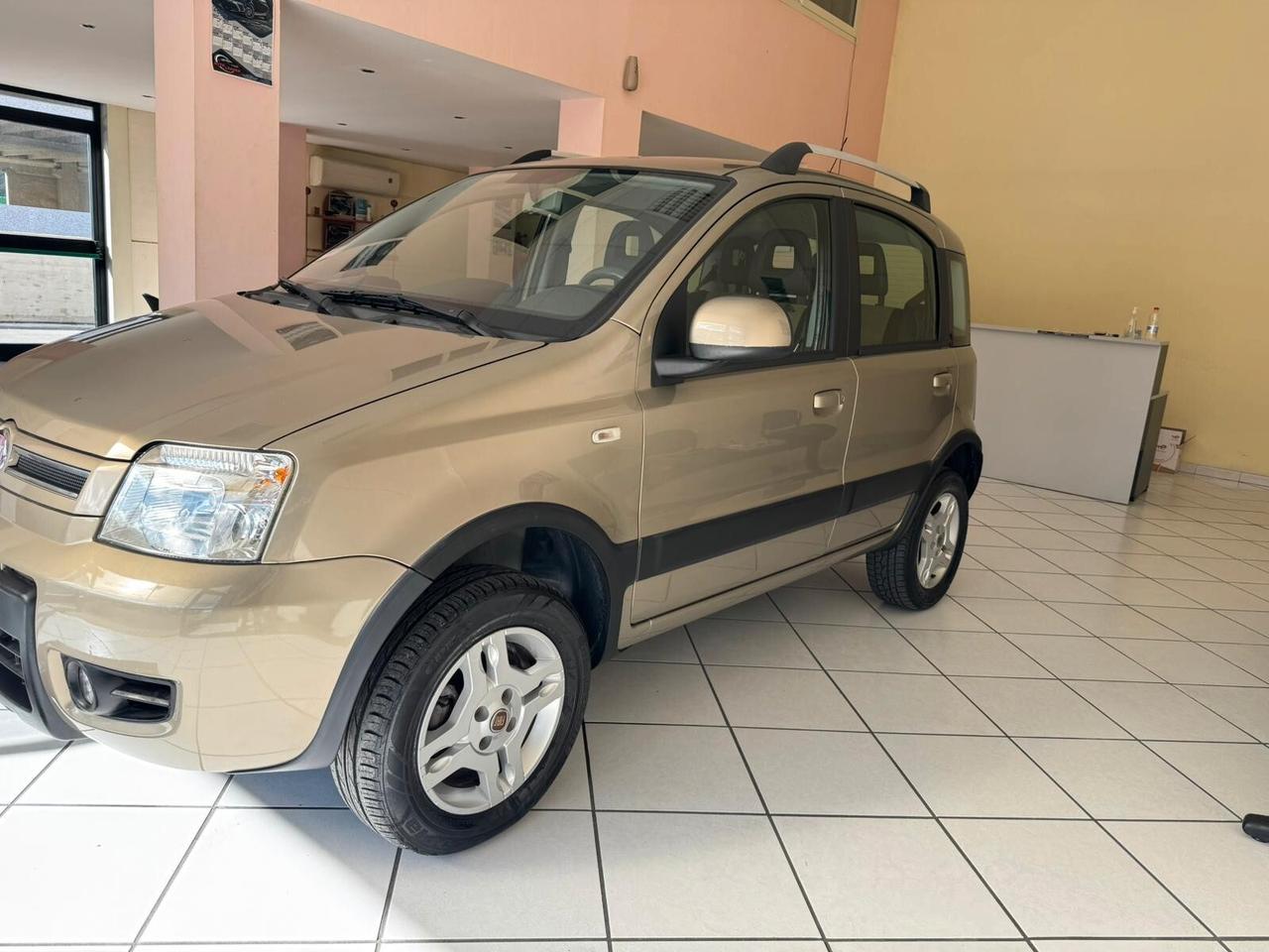 Fiat Panda 1.3 MJT 16V DPF 4x4 Climbing