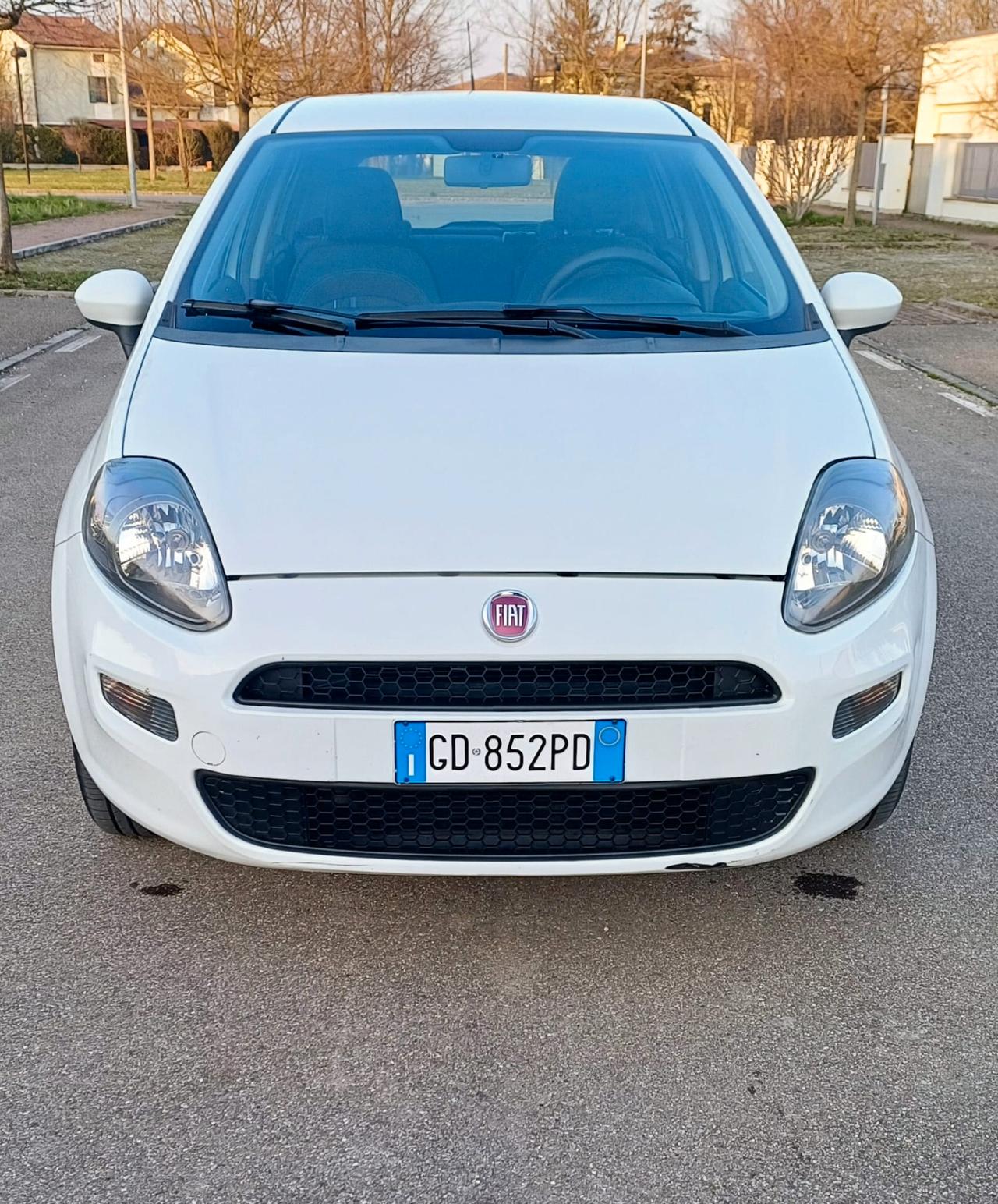 Fiat Punto Evo Punto Evo 1.4 5 porte Dynamic Natural Power