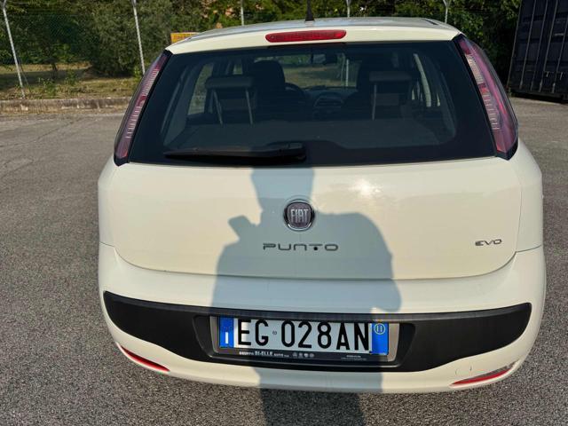 FIAT Punto Evo Stupenda. Bellissima 1.3Mjt 75 CV 5P S&S Dynamic