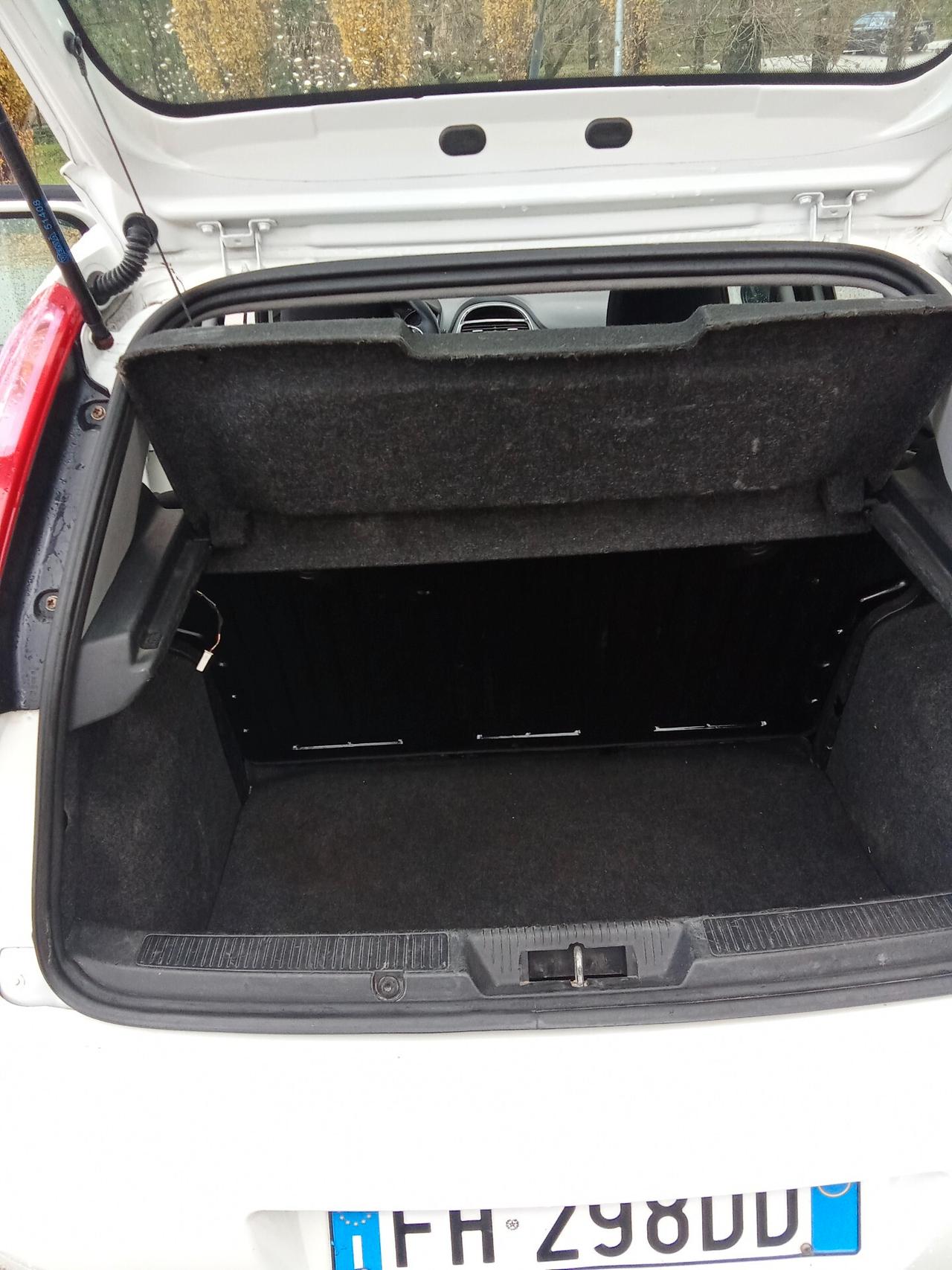 Fiat Punto 1.3 MJT 80cc Van Easy 4 posti 017