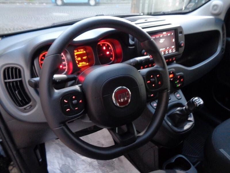 Fiat Panda Cross 1.0 FireFly S&S Hybrid
